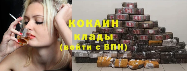 Альфа ПВП Няндома