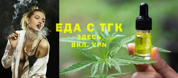 шишки Снежногорск