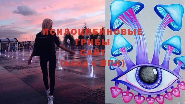 соль ск Нязепетровск