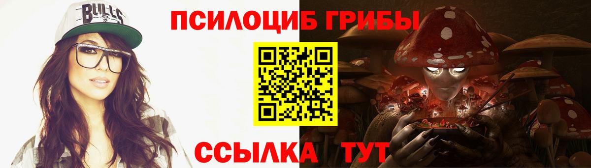 Галлюциногенные грибы Psilocybe Анапа